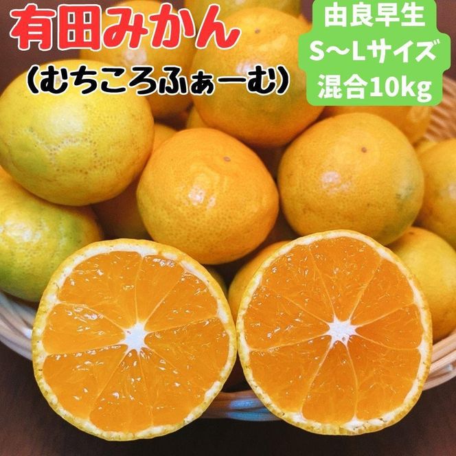 有田みかん 由良早生S〜Lサイズ混合 約10kg 【2025年発送 先行予約】 ER02