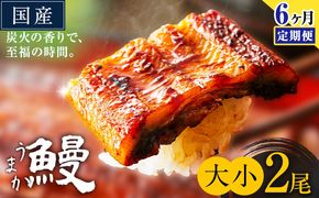 【6ヶ月定期便】うなぎ 大小 2尾  国産 鰻 真空パック おすすめ うなぎの蒲焼 《お申込み翌月から出荷》 ふるさとのうぜい 特上 簡易包装 ウナギ unagi 蒲焼 秋 冬 旬 配送時期 冷凍---mifune_lcl_1337_mo6---