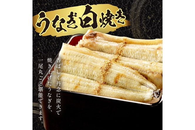 うなぎの白焼き2~3人前（1尾） ふるさと納税 ウナギ 鰻 白焼 しらやき タレ 国産 うなぎ 鰻 惣菜 京都 ギフト 贈り物 お祝い　AN00094