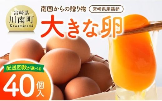 ※回数が選べる※宮崎県産鶏卵　「南国からの贈り物」大きな卵40個入り（35個+破損補償5個） 【たまご 卵 玉子 タマゴ】 [C01401]