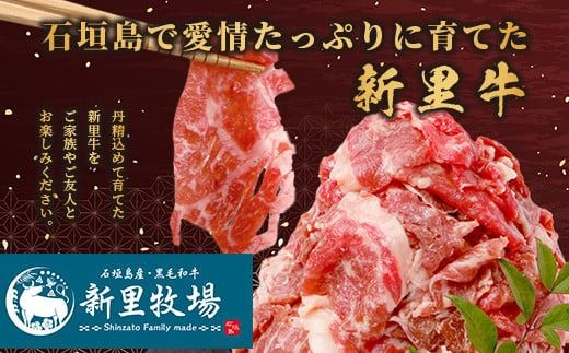 石垣島産 黒毛和牛 新里牛 多用途抜群！ 切落し (500g×1) 500g SZ-13