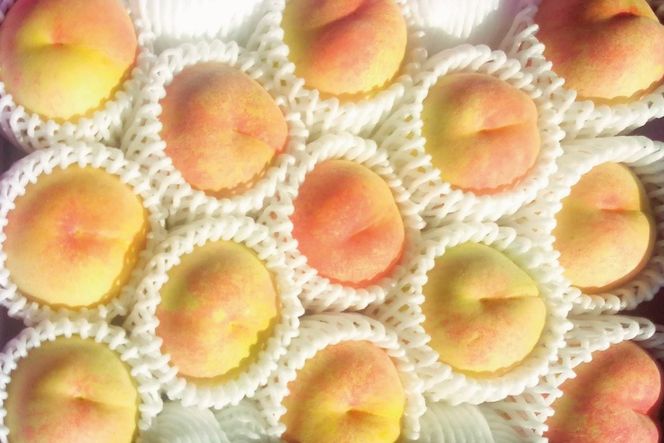 2026年産 先行予約 桃 加東市産『やしろの桃』3kg 【お届け：2027年7月中旬～8月上旬】[フルーツ 果物 もも] ３kg 