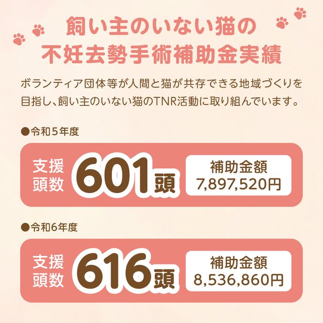 人と猫が互いに幸せになれるまちを目指して『不妊去勢手術支援プロジェクト』（返礼品はありません） N0159-9999993