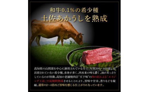 特選 赤身ブロック 土佐あかうし 長期熟成肉 300g 田野屋銀象 完全天日塩付き 赤身 牛肉 ブロック 肉 お肉 和牛 国産 牛 熟成肉 ブロック肉 豪華 贅沢【株式会社LATERAL】 [BQAU030]