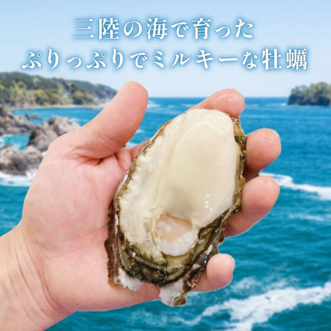 訳あり 生牡蠣 むき身 1kg 500g×2袋 (加熱用) 牡蠣 剥き牡蠣 むき牡蠣 魚貝類 生かき カキ 牡蠣 むき身牡蠣 冷蔵 加熱用 牡蠣フライ 牡蠣飯 鍋 訳アリ 数量限定 期間限定 先行予約 20000円 2万円 三陸産 岩手県 大船渡市 [seikimaru002]
