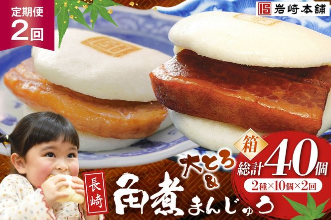 BJ075 岩崎本舗 【2回定期便】長崎角煮まんじゅう 10個入・大とろ角煮まんじゅう 10個入 (箱) [長崎県 島原市]