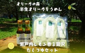 【 小豆島 】オリーヴの森 半生オリーヴそうめんと瀬戸内レモン香る 贅沢だしつゆセット 半生 そうめん 素麺 麺 麺類 レモン 檸檬 爽やか オリーブ だしつゆ ヘルシー 健康 国産 香川 香川県 土庄 土庄町