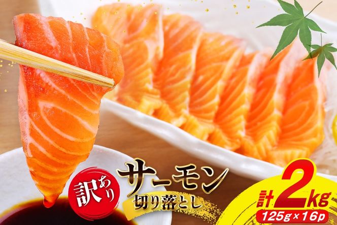 訳あり サーモン 切り落とし おさしみ用 125g×16p 計2kg 個包装 [足利本店 宮城県 気仙沼市 20565987] 魚介 魚 鮭 銀鮭 生食用 刺身 お刺し身 刺し身 海鮮 真空パック 冷凍 訳アリ