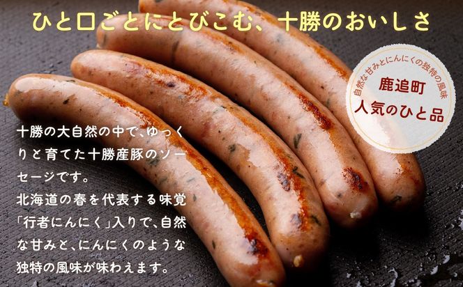 行者にんにく入りソーセージ 1.6kg（160g×10） SKD027