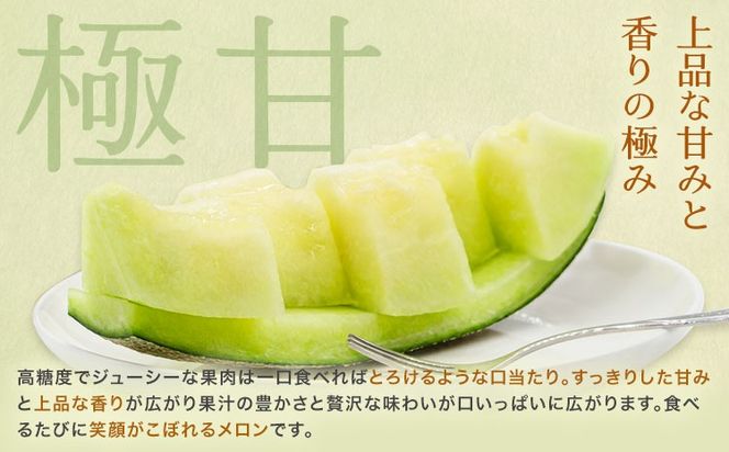 肥後グリーンメロン 1玉 熊本 株式会社エフビーネット《4月上旬-7月上旬頃出荷》熊本県 氷川町 果物 フルーツ 熊本県産 メロン 肥後グリーン めろん---hkw_efb_1_1p---