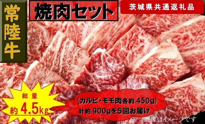 169-26-029 【5か月定期便】【常陸牛】焼肉セット 約900g【定期便】計5回 総量約4,500g（茨城県共通返礼品）【 常陸牛 茨城県 日立市 】