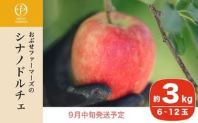 シナノドルチェ 約3kg 6～12玉 ［ おぶせファーマーズ ］ 数量限定 期間限定 果物類 林檎 りんご リンゴ フルーツ 長野県産 信州産 令和7年産 【2025年9月中旬発送】 ［FH-85］