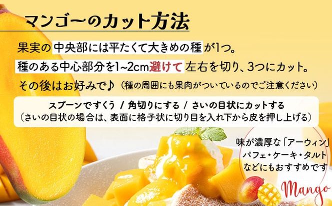 <わんのマンゴー>石垣島産マンゴー【アーウィン】NA-03