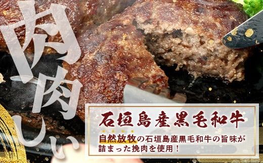 石垣島産 黒毛和牛 生ハンバーグ 120g x 10個 【沖縄 石垣 石垣島産 黒毛和牛 和牛 ハンバーグ】 UN-2