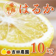 数量限定 順次発送 はるか 10kg 18000円 みかん mikan 蜜柑 ミカン 国産 産地直送 農家直送 期間限定 特産品 ゼリー ジュース アイス 等に 人気 限定 フルーツ 果物 柑橘 甘い おいしい ジューシー お取り寄せ ギフト プレゼント サイズ ミックス 吉田農園 愛南町 愛媛県
