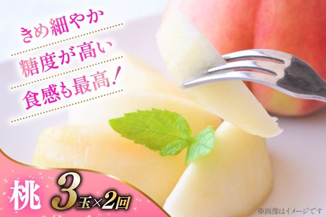 桃 3玉 2回 シャインマスカット 約 1.0kg 2回 【2027年発送】 先行予約 ちっとばかし 定期便4回 NS-1018 [韮崎翠緑 山梨県 韮崎市 20744989] 桃 シャインマスカット もも シャイン マスカット ぶどう 葡萄 くだもの 果物 フルーツ