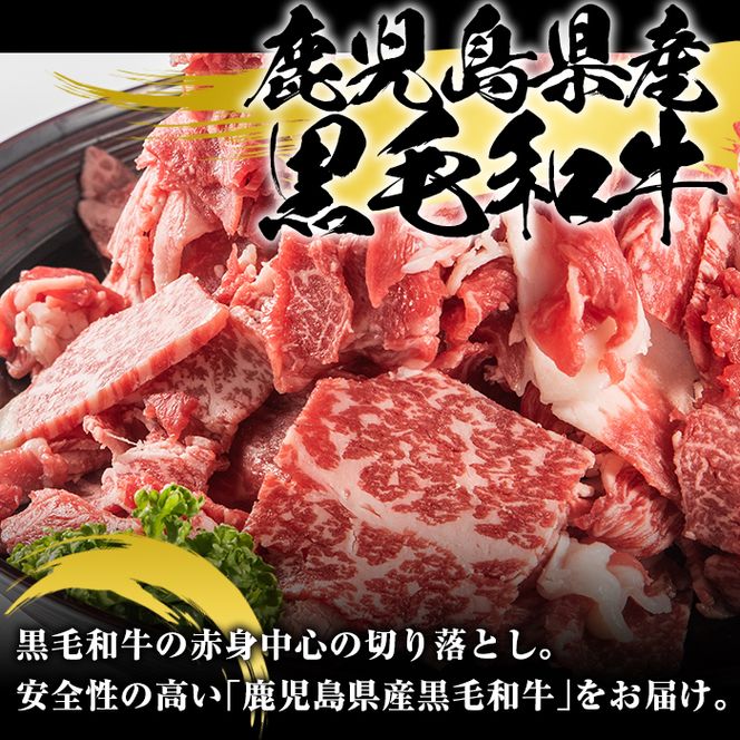 鹿児島県産黒毛和牛切り落とし(計1kg・500g×2パック)国産 九州産 鹿児島産 牛肉 国産牛 小分け カレー 牛丼 野菜炒め 冷凍【スターゼン】akn042-13