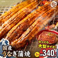 G7005_大型サイズ ふっくら柔らか 国産うなぎ 蒲焼き 2尾 (約4人前) 化粧箱入