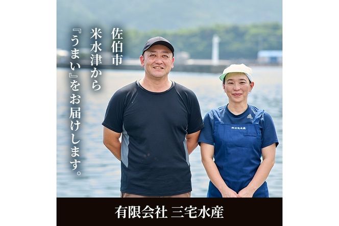 ＜訳あり＞ 無塩 ブリカマ (約3kg)大分県産 国産 ぶりかま ブリ ぶり 鰤 養殖ブリ 煮つけ 鰤かま カマ焼き 冷凍 大分県 佐伯市【ET002】【(有)三宅水産】