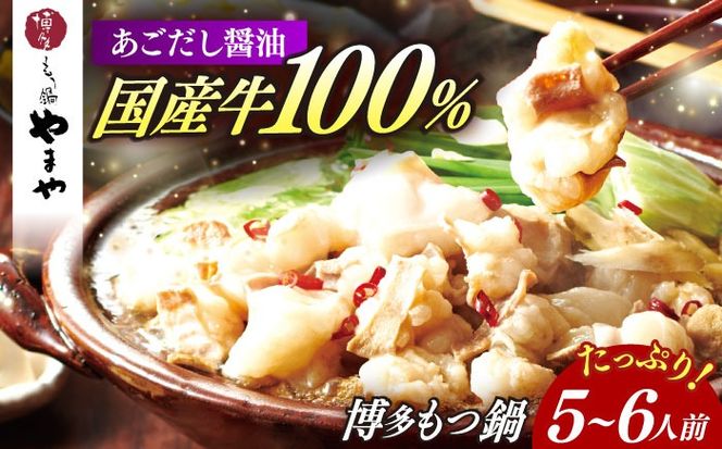 博多もつ鍋やまや もつ鍋セット あごだし醤油味(5〜6人前) 《築上町》【株式会社やまやコミュニケーションズ】 なべ 博多もつ鍋 人気 おすすめ[ABES008]