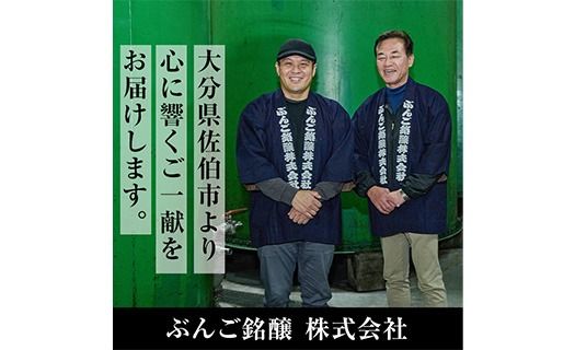 長期樽貯蔵酒　『狩生Classic 17年』(500ml×1本) プレミアム 数量限定 酒 アルコール 木樽 貯蔵酒 国産 【AN97】【ぶんご銘醸】