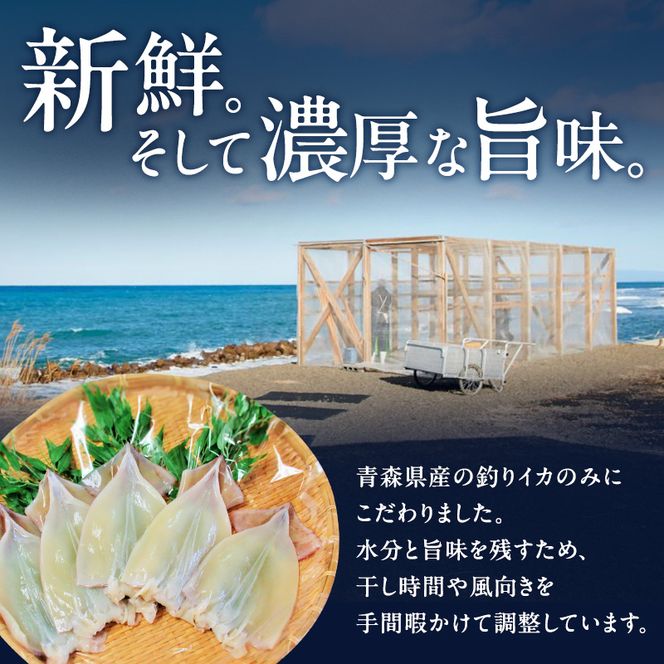 イカ 青森県産 一本釣りいか 使用 鰺ヶ沢 名物 天日生干しイカ セット （900g以上4枚～6枚入り） いか 干物 干物セット 国産 するめ スルメ スルメイカ 海鮮 魚介類 魚介 海産物 ※ ご入金確認後 3ヶ月以内の発送になります。 青森県鰺ヶ沢町 