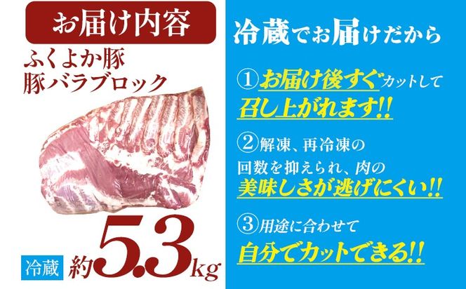ふくよか豚バラブロック約5.3kg 豚バラブロック 豚バラブロック肉 豚肉 ブタ肉 豚 豚バラ ブロック肉 塊肉 自家製ベーコン チャーシュー しゃぶしゃぶ 角煮 燻製 煮込み料理 ふくよか豚 焼き鳥 サムギョプサル 冷蔵