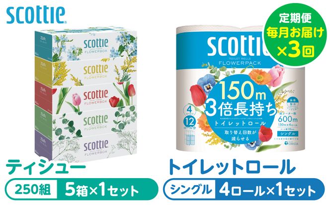 【定期便3回】【毎月お届け】【スコッティ】 組み合わせ ティシュー フラワーボックス 250組 5箱 計15箱 トイレットロール シングル フラワーパック 3倍長持ち 4ロール 計12ロール ティッシュ トイレットペーパー 日用品 防災備蓄 ストック 備蓄 新生活 防災 消耗品 生活用品 日用消耗品 箱ティッシュ 熊本県 八代市