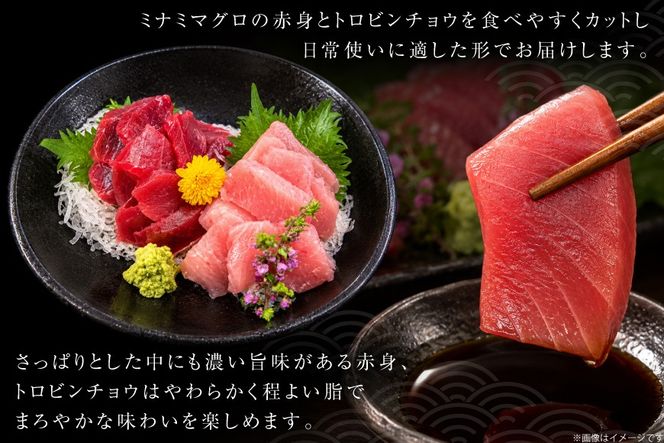 まぐろ ミナミマグロ ビンチョウマグロ 各300g 切り落とし セット [臼福本店 宮城県 気仙沼市 20566282] 魚 鮮魚 刺身 トロ 天然本マグロ マグロ みなみまぐろ ビンチョウ まぐろ 鮪 本まぐろ 本マグロ 本鮪