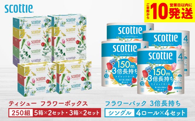 �y�F�{������s�z�y�X�R�b�e�B�z�e�B�V���[ �t�����[�{�b�N�X 250�g�i5���p�b�N×2�Z�b�g�E3���p�b�N×2�Z�b�g�j�{�t�����[�p�b�N 3�{�������i4���[��(�V���O��)�p�b�N×4�Z�b�g�j�e�B�b�V�� �g�C���b�g�y�[�p�[ ��