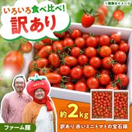【訳あり】【先行予約】訳あり 赤いミニトマトの宝石箱 約2kg / 家族・大切な方と楽しむ食べ比べセット〈2026年11月下旬～2027年5月下旬まで〉 トマト とまと ミックス 詰め合わせ セット 野菜 料理 サラダ マリネ パスタ 浅漬け おやつ 弁当 甘味 酸味 新鮮 高知県 土佐市【ファーム輝】 [BQBM010]