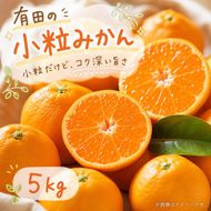 【先行予約】有田の小粒みかん5kg(S～3Sサイズ混合)◇｜みかん ミカン 柑橘 果物 くだもの フルーツ 甘い 小粒 先行予約 国産 濃厚 絶妙 糖度 酸味 産地直送 美浜町