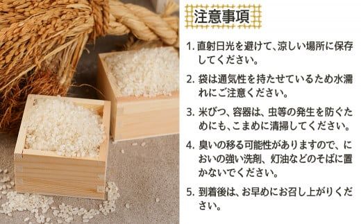 みやこんじょ育ち都城産ひのひかり10kg≪みやこんじょ特急便≫_33-K701-Q