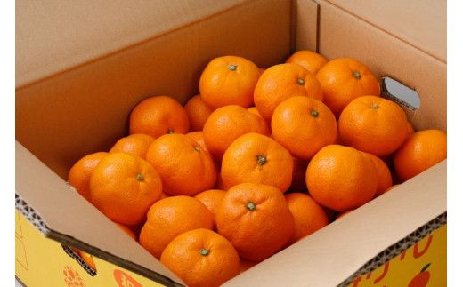 【2025年12月分】 ＼光センサー選別／農家直送 【家庭用】こだわりの有田みかん 約5kg＋250g(傷み補償分)  /みかん 有田みかん 温州みかん こだわりのみかん 【nuk160-12B】