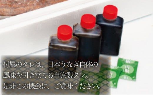 うなぎ蒲焼 3尾セット 合計600g以上 (定期便3回) H-301