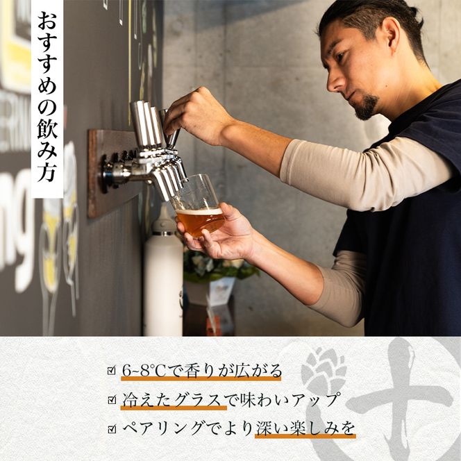 Tsuji Brewingオリジナルクラフトビール6本セット お酒 地ビール 瓶ビール 飲み比べ ビール飲み比べ アルコール飲料 家飲み 晩酌 バーベキュー BBQ 