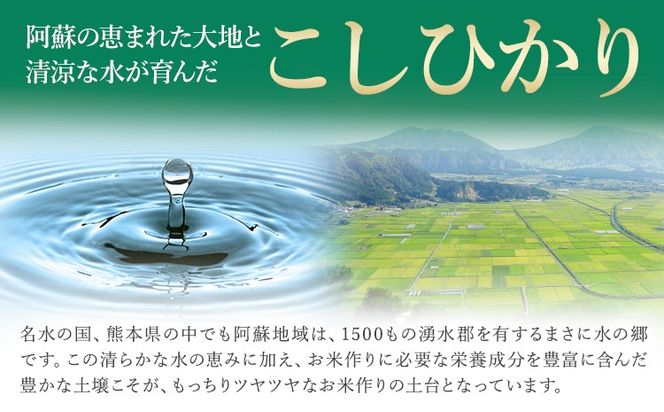 【12ヶ月定期便】 無洗米 も 選べる 定期便 こしひかり 白米 or 無洗米 選べる精米方法 定期便 内容量 5kg 10kg 20kg 白米 精米 無洗米 熊本県産(南阿蘇村産含む) 単一原料米 南阿蘇村《お申込み翌月から出荷》---kh7tei_113600_5kg_mo12_mna_h---