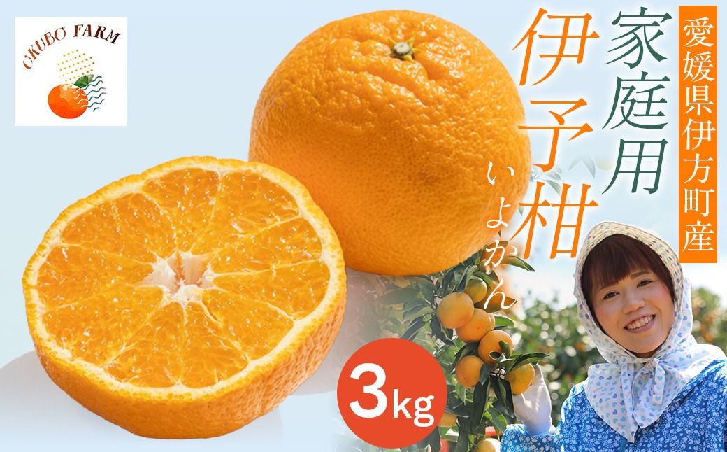 [先行予約][家庭用]伊予柑 3kg ※北海道・沖縄・離島への配送不可 (2026年1月中旬より順次発送予定) IK