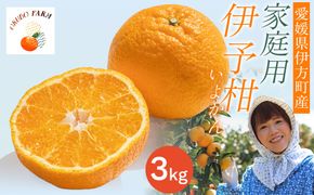 【先行予約】【家庭用】伊予柑 3kg ※北海道・沖縄・離島への配送不可 （2026年1月中旬より順次発送予定） IKTAT004 