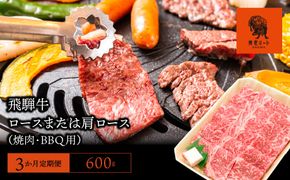 AJ-16 【3か月定期便】【飛騨牛】ロースまたは肩ロース600g (焼肉・BBQ用)