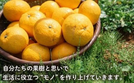 【 植物 由来 】万能 濃縮 甘夏 みかん 洗剤 《糸島》【わかまつ農園】[AHB001]