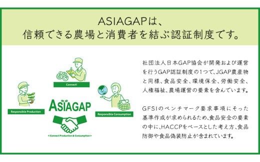 ASIAGAP認証農場 の 自然薯 2kg 茨城県 筑西市産 じねんじょ 山芋 芋 イモ いも とろろ 山菜 ASIAGAP [DD003ci]