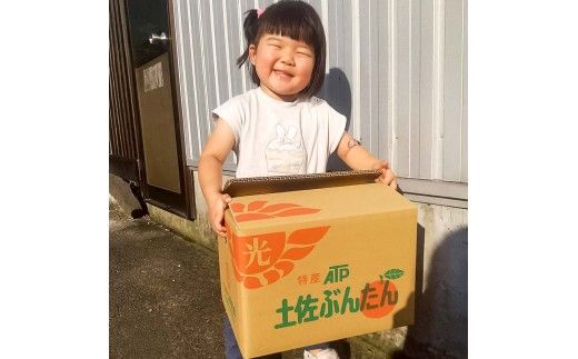 【先行予約】白木家のこだわり土佐文旦 露地 文旦 約8kg 13～20個入り L～3Lサイズ混合 〈2027年2月上旬～3月上旬頃発送〉ぶんたん ブンタン 果物 柑橘 フルーツ お取り寄せ 特産品 美味しい 高知県産 ギフト【株式会社とさもん】[BQAE041]