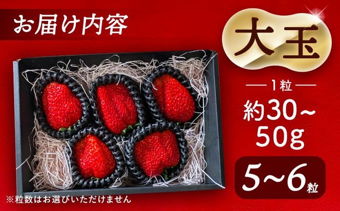 【先行予約】 ＼毎年12月より順次発送／ 〈大玉〉 やよい姫　5粒〜6粒程度 果物 いちご フルーツ 愛西市 / くぼ苺農園 【配達不可：北海道・沖縄・離島】[AECJ015]