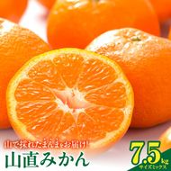 【2026年先行予約】みかん 山から直送 箱込 7.5kg ( 内容量 6.8kg ) 鮮度優先ごろごろ規格 和歌山県産 産地直送 【みかんの会】_MK1051