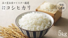 《 令和6年産 》 茨城県産 コシヒカリ 5kg ( 5kg × 1袋 )  期間限定 こしひかり 米 コメ こめ 五ツ星 高品質 白米 精米 時短 単一米 [AC039us]