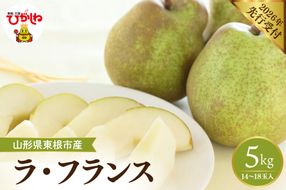 【2026年産先行予約】 フルーツの女王「ラ・フランス」 約5kg (14～18玉入) 山形県 東根市　hi026-060