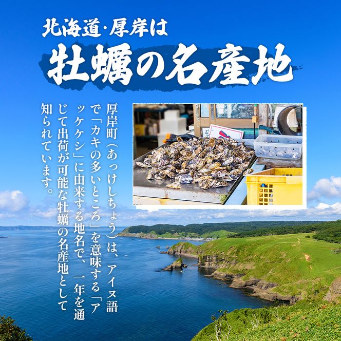剥き牡蠣 300g 北海道 厚岸産 ムキ牡蠣 むき身 海鮮 海の幸 生牡蠣 かき カキ 生 ムキカキ むきがき むき牡蠣 ムキガキ マルえもん