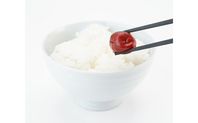 大河原産 昔ながらのすっぱいしそ梅干し 270g 10個セット ご飯のお供に 梅干し 梅干 うめぼし ウメボシ 梅 ごはんのお供 ご飯のお供 おにぎり 弁当 お弁当