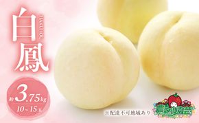 桃 2026年 先行予約 白桃 白鳳 約3.75kg 10～15玉 進物用 もも モモ フルーツ 果物 岡山 赤磐市産 農マル園芸 あかいわ農園 家庭用 